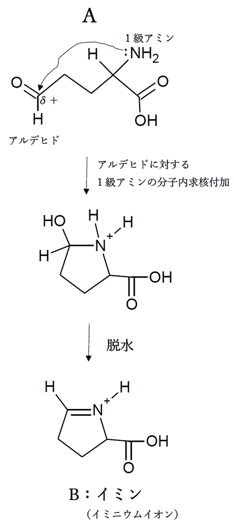 アミノ酸（C）の生合成過程の一部を示した図　第99回薬剤師国家試験問107